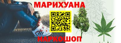 прущие грибы Волгодонск