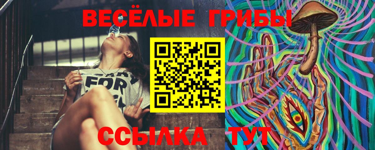 Псилоцибиновые грибы MAGIC MUSHROOMS  Галлюциногенные грибы Cubensis  Вход с VPN  Озёрск 